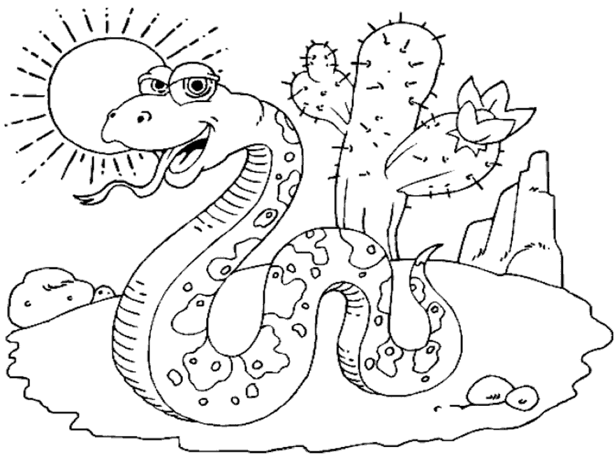 Розмальовки пустелі розфарбування змія, пустеля, кактуси, сонце