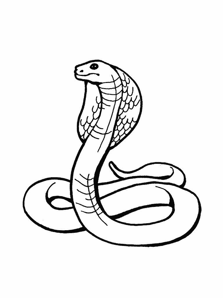 Coloring children coloring pages reptiles, snake, children