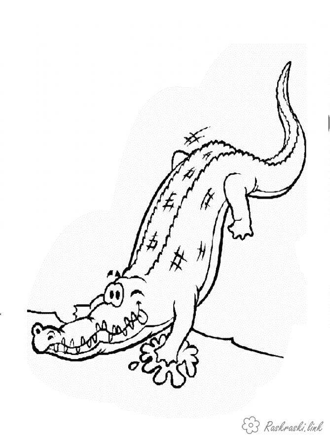 Розмальовки Рептилії розмальовки, крокодил, рептилії, вода