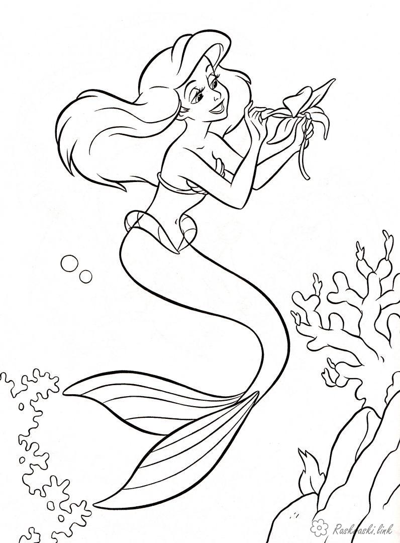 Розмальовки Уолт Дісней русалка, морський квітка, водорості
