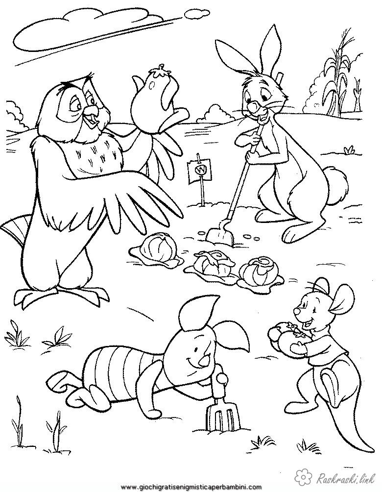 Розмальовки кенгуру Сова, пяточок і кенгуру збирають урожай