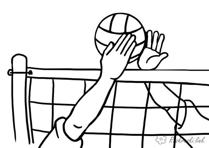 Розмальовки Волейбол волейбол, спорт, сітка, руки, м'яч, блок