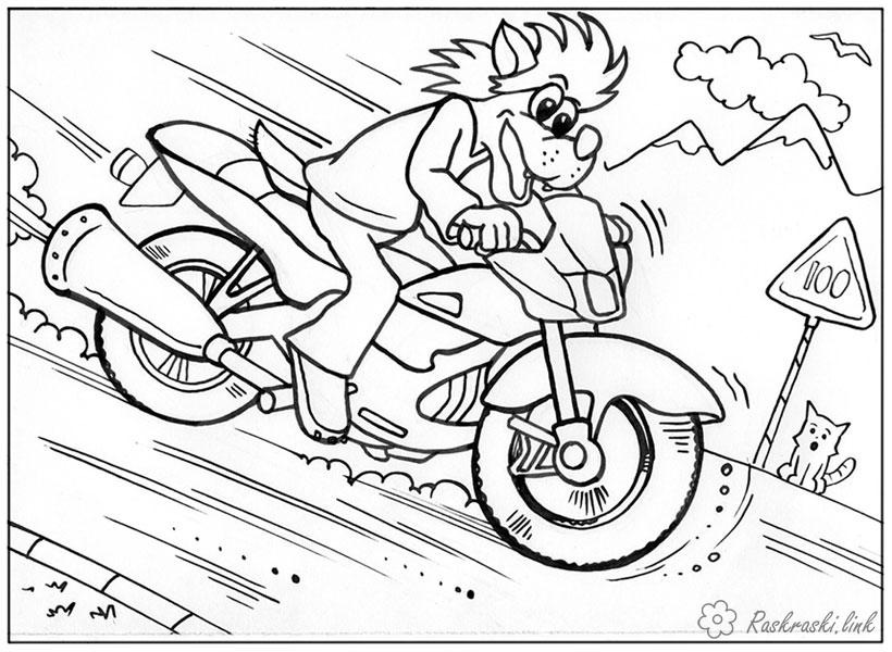 Розмальовки мотоцикл Радянський мультфільм, ну постривай, заєць, вовк, мотоцикл, схил