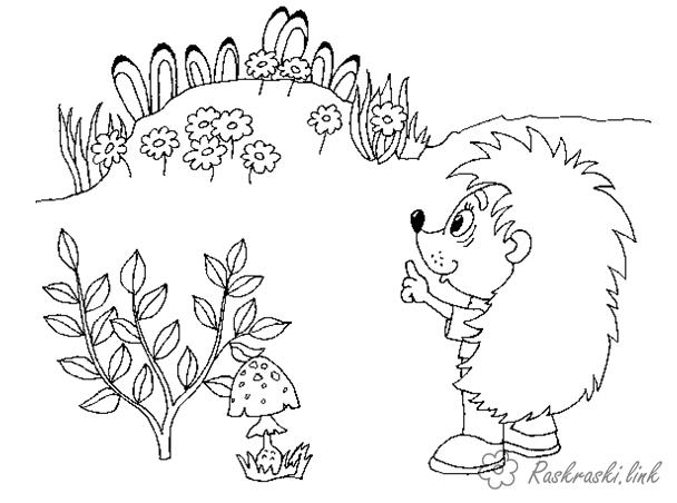 Розмальовки Лісові тварини природа лісові тварини їжак їжачок галявина дерева трава