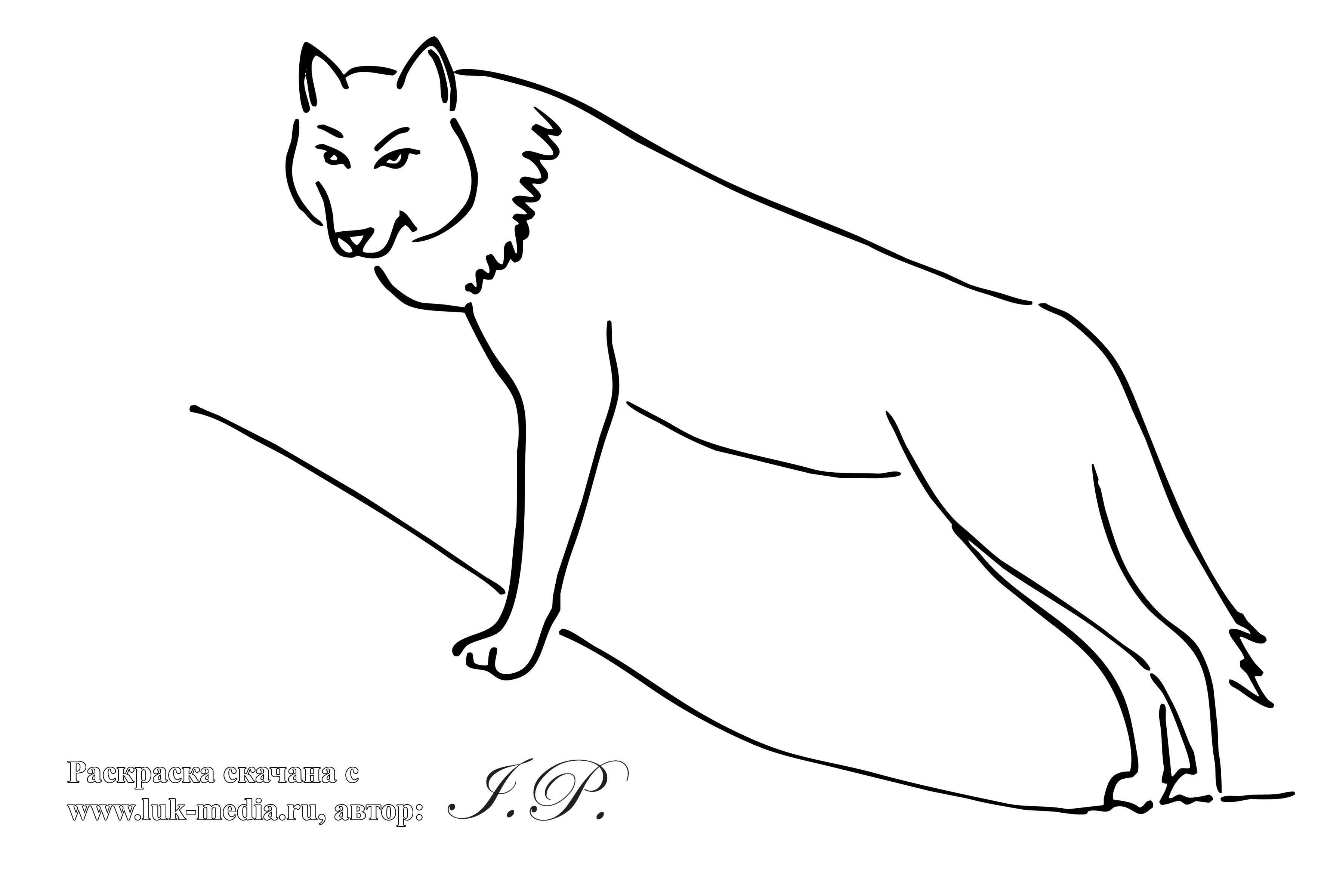 Розмальовки тварини вовк