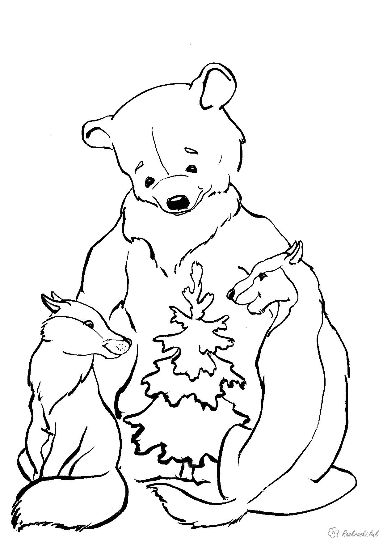 Розмальовки Лісові тварини пріродалесние тварини вовк лисиця ведмідь