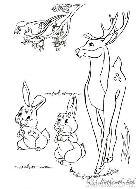 Розмальовки олень олень, птиця і зайці