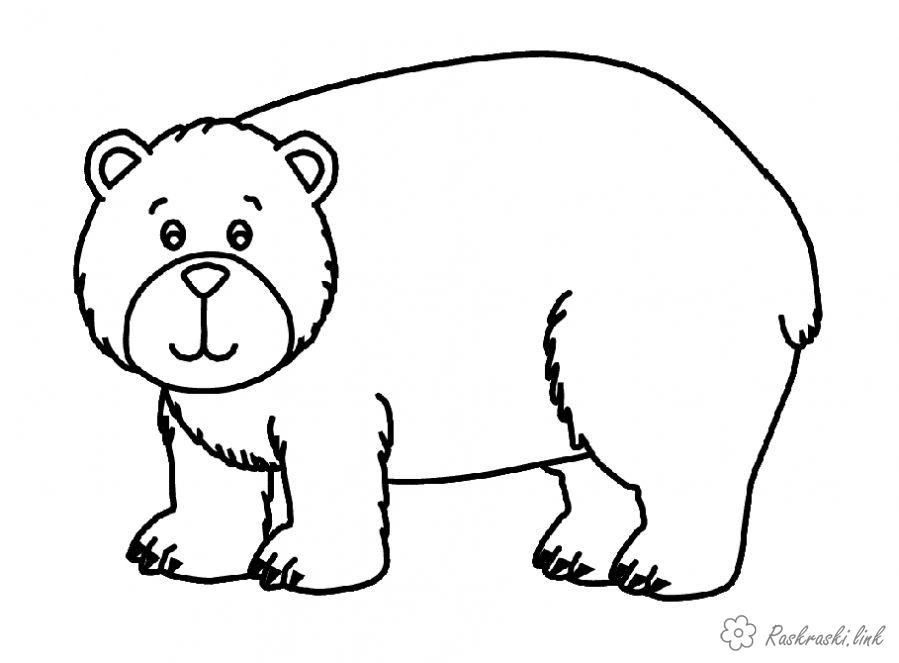 Розмальовки природа прірорда лісові тварини ведмідь