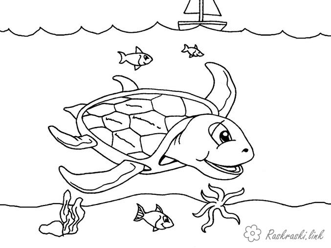 Раскраски Подводный мир Природа подводный мир море черепаха рыба
