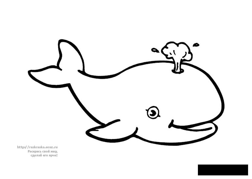 Розмальовки кит Природа кит підводний світ