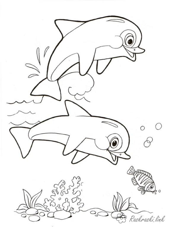 Розмальовки природа дельфіни