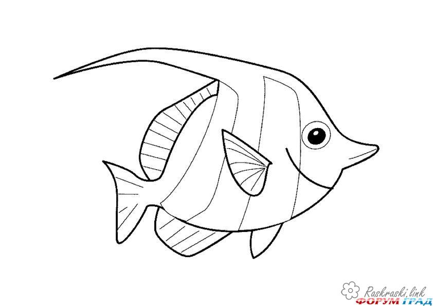 Розмальовки природа рибка