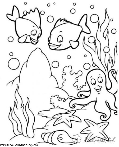 Розмальовки Підводний світ рибки восьминіг зірка природа підводний світ