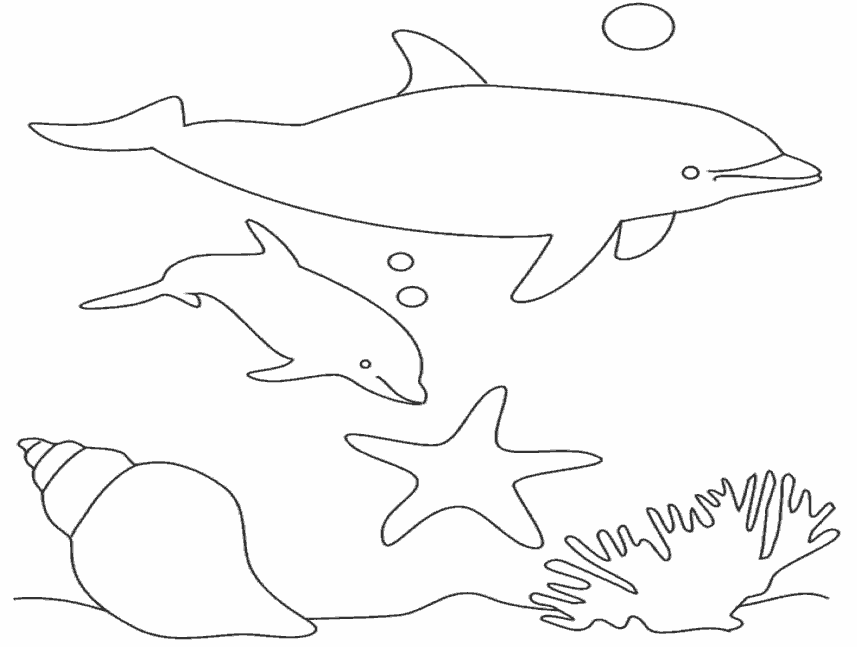 Розмальовки підводний природа підводний світ морська зірка дельфіни