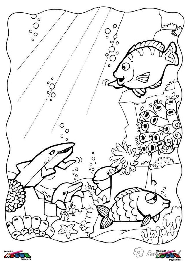Розмальовки рибки рибки і дельфіни