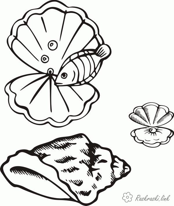 Розмальовки черепашка перлина черепашка рибка природа підводний світ
