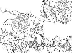 Раскраски Подводный мир природа подводный мир черепаха рыбка море