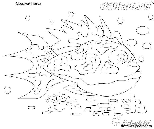 Розмальовки їжак природа підводний світ риба їжак