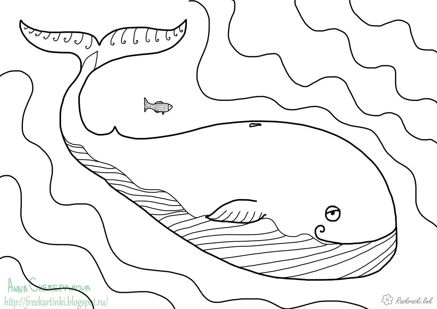 Розмальовки кит природа підводний світ кит океан