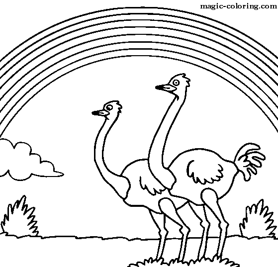 Розмальовки природне природа природне явище веселка страуси