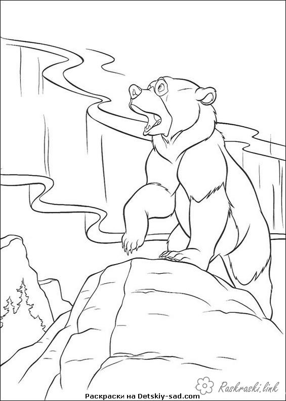 Розмальовки сяйво природа природне явище північне сяйво ведмідь