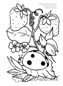Раскраски Ягоды Малина, ягоды, раскраска, маленькая, божья коровка