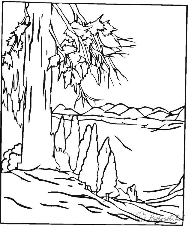Раскраски Лес и пейзажи раскраска лес,склон,большое дерево,горы 