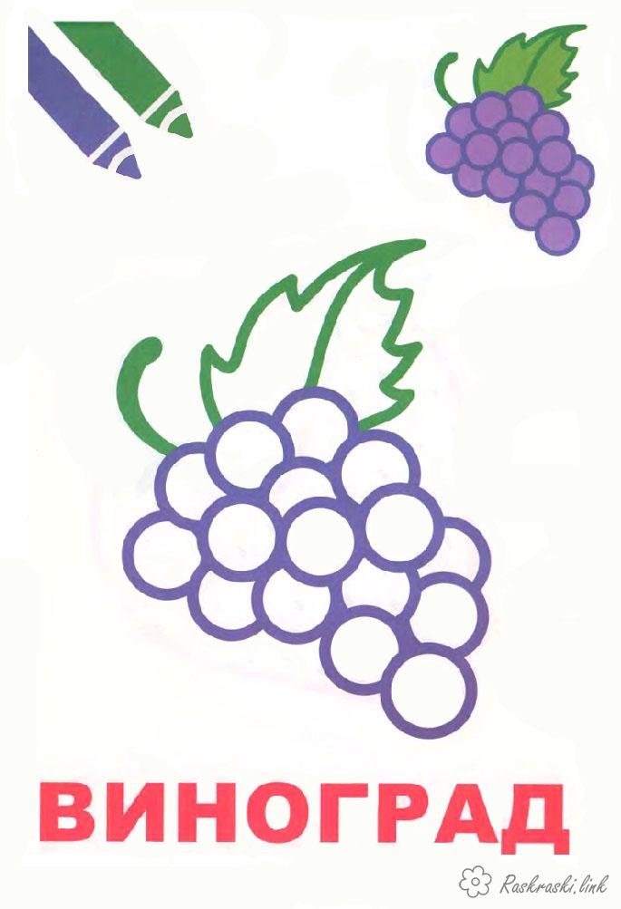 Раскраски Фрукты Виноград, фрукты, раскраска, спелый, сочный