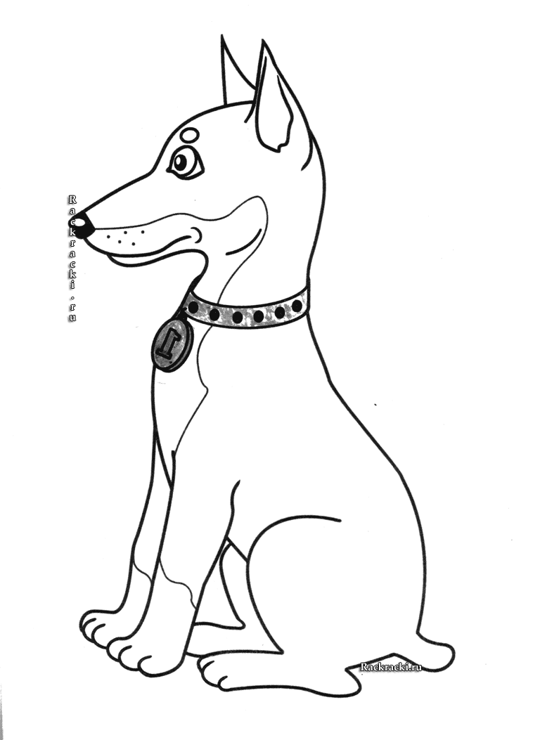 Розмальовки собачка собачка сидить з медальйоном