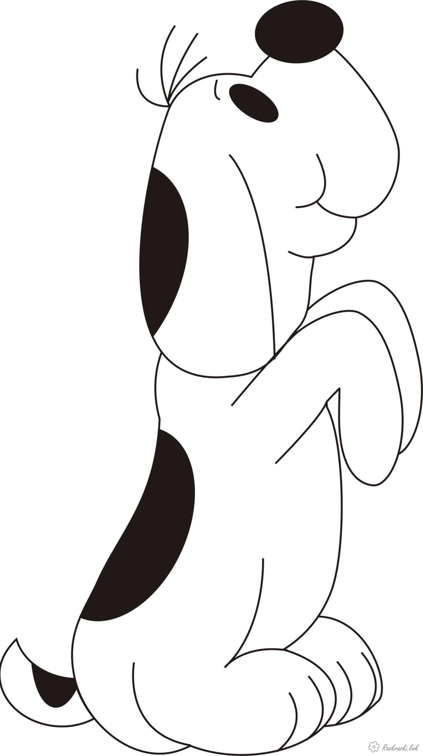 Розмальовки тварини песик, черно-белый, сидит на лапках