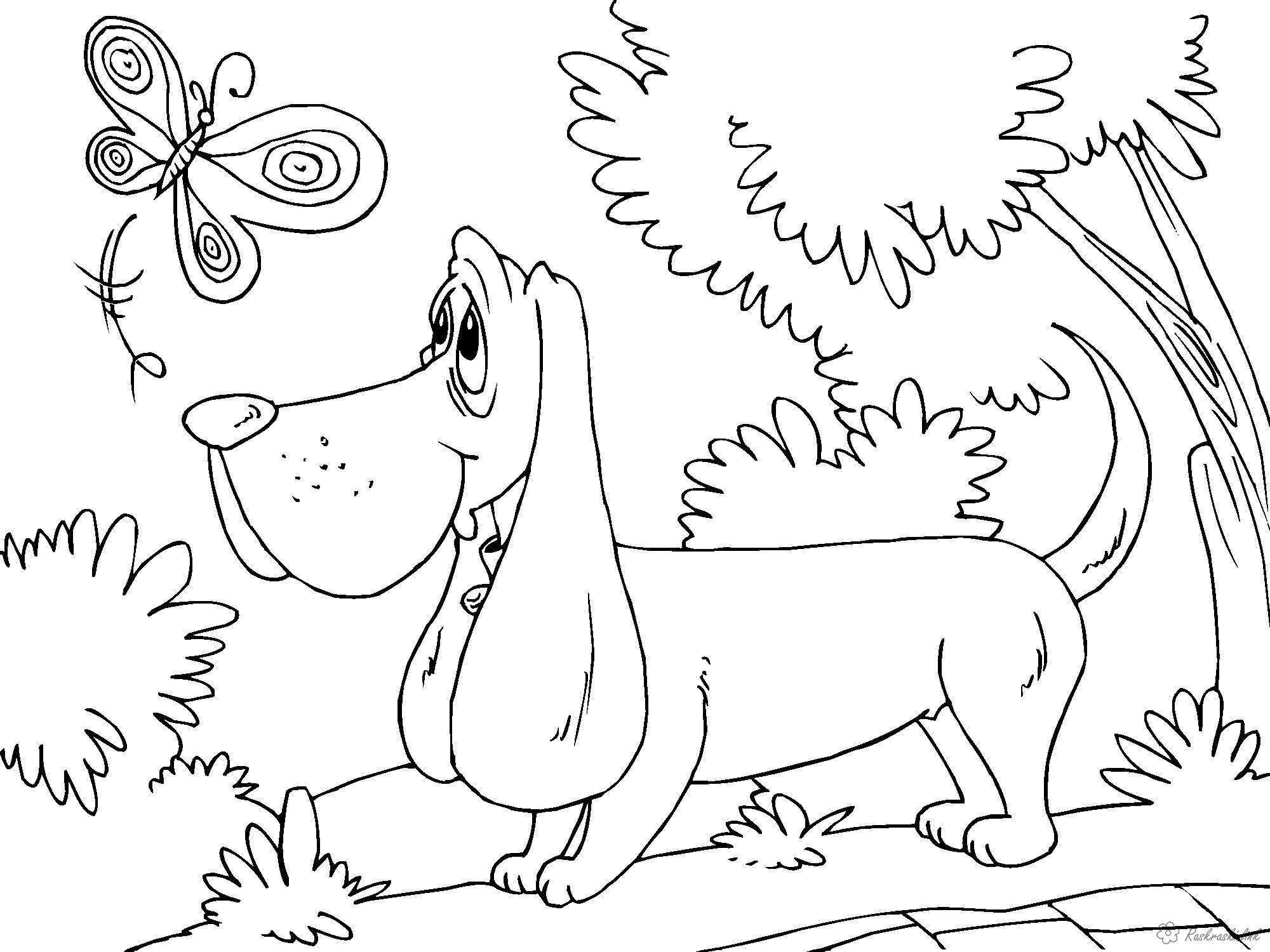 Dogs Free Coloring Pages Online Print 