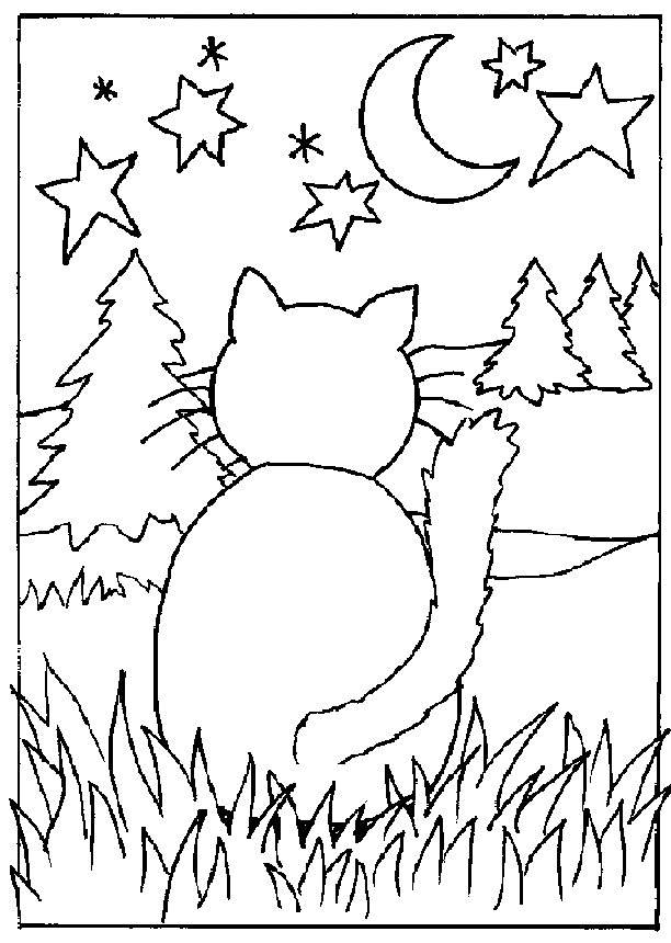 Розмальовки Кішки  кішка, місяць, дерева, ліс, розмальовки