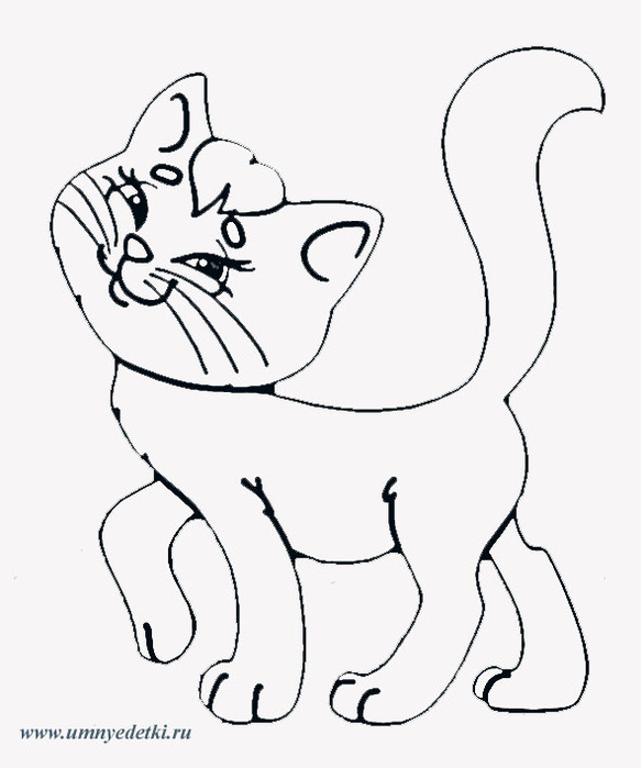Розмальовки Кішки  кішка, розмальовки для дітей, домашні тварини