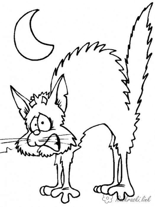 Розмальовки домашні переляканий кіт вночі