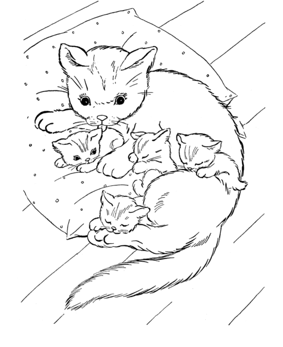 Розмальовки природа розмальовки для дітей, кішка з кошенятами, подушка