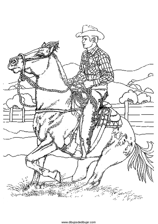 Розмальовки Коні ковбой скаче на коні, розмальовки для дітей, трава, поле, ковбой, кінь