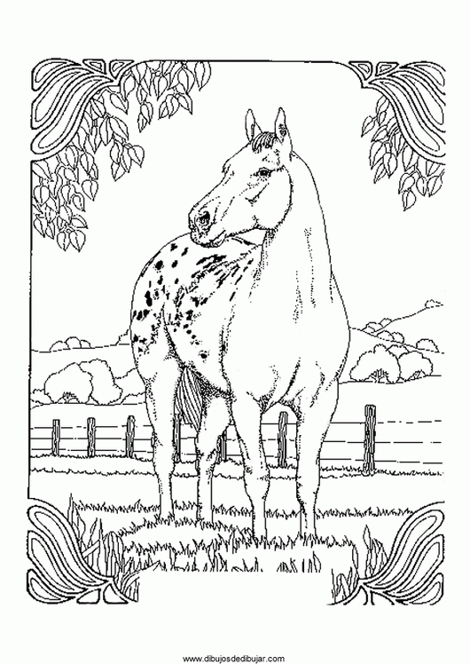 Розмальовки Коні розфарбування плямиста кінь, дерева, паркан