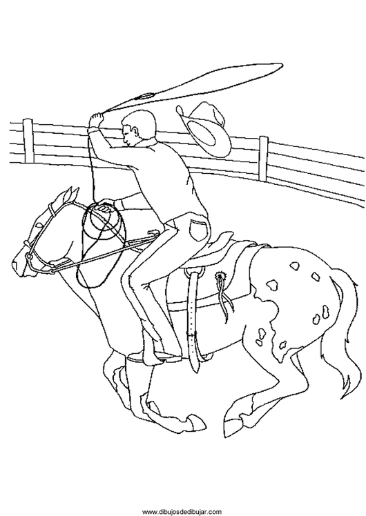 Розмальовки Коні конячка, родео, аркан, ковбой, капелюх