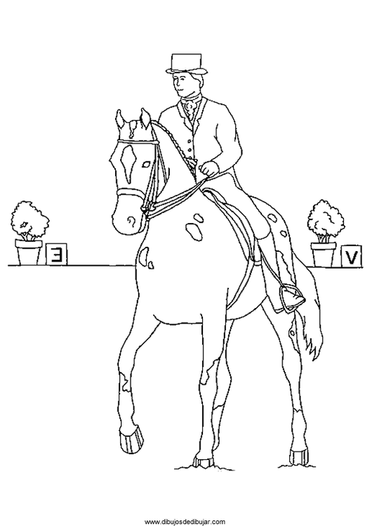 Розмальовки Коні кінь, квіти, наїзник