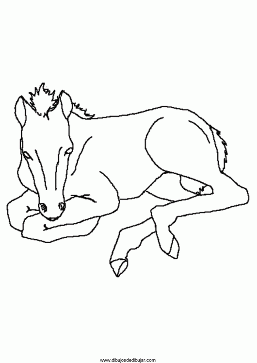 Розмальовки Коні розфарбування лоша, коні, для дітей е
