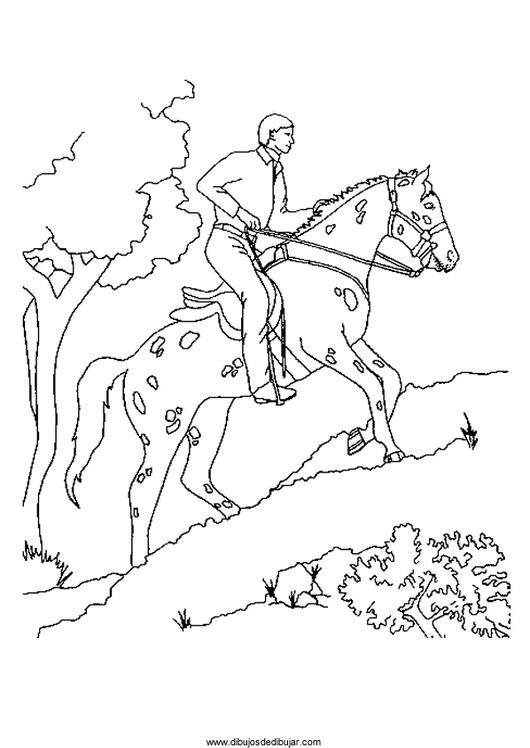 Розмальовки Коні плямиста кінь, розмальовки, ліс, трава