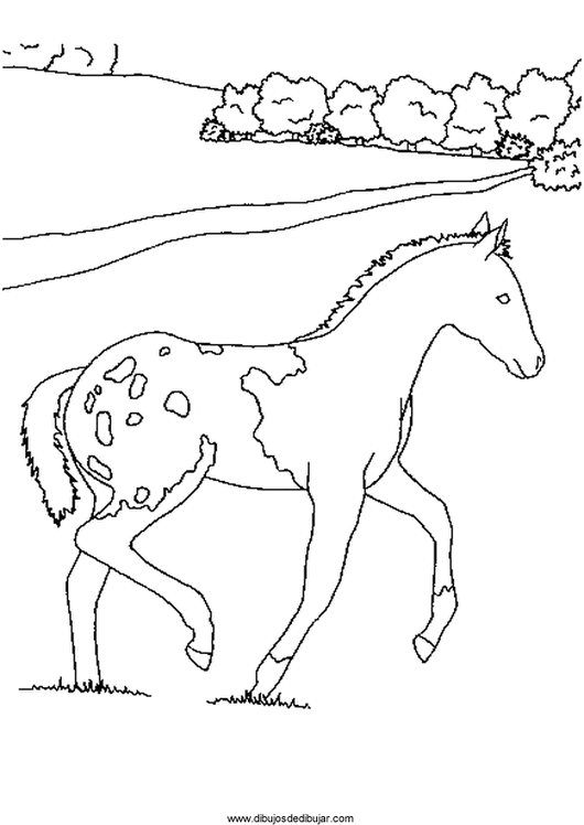 Розмальовки Коні розмальовки для дітей, конячка, дорога, ліс