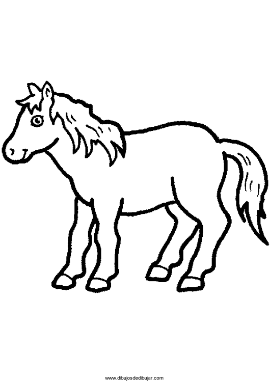 Розмальовки Коні розфарбування красива конячка, для дітей
