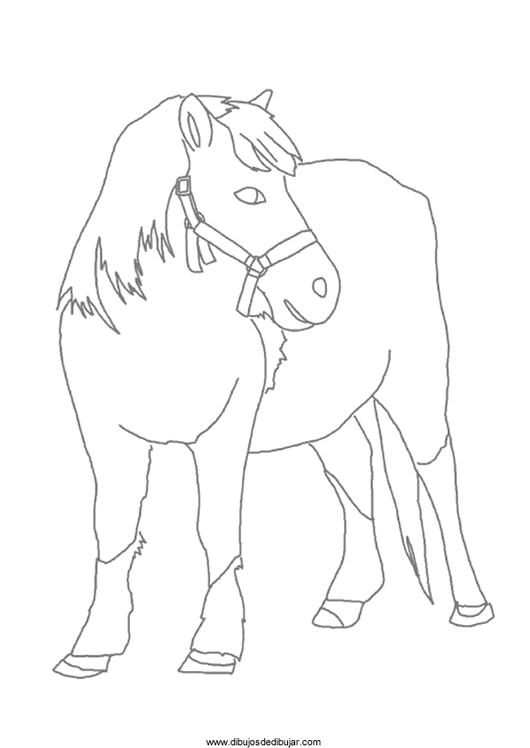 Розмальовки Коні розмальовки, велика красива кінь, для дітей