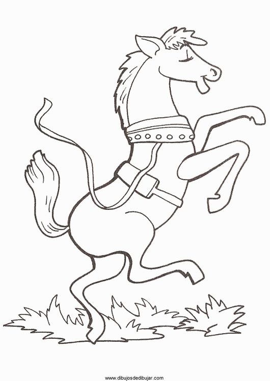 Розмальовки Коні кінь встає дибки, красива конячка, розмальовки