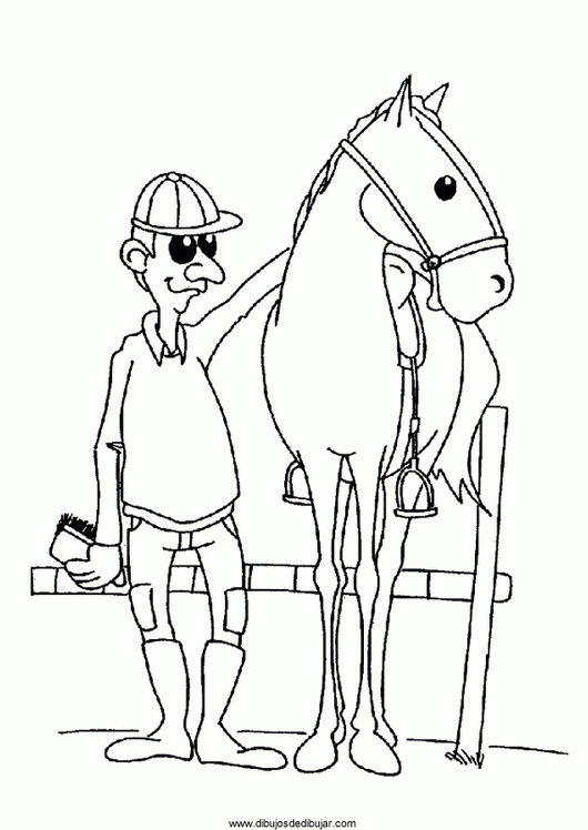 Розмальовки Коні окуляри, вершник, красива спортивна кінь, домашні тварини