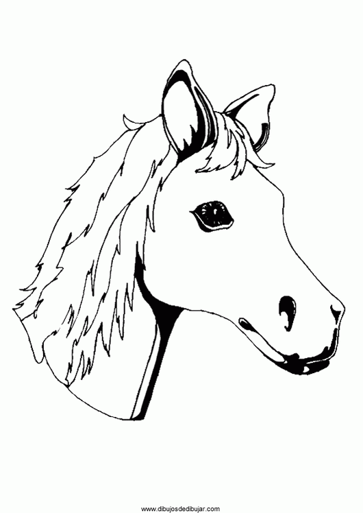 Розмальовки Коні красива молода конячка, розфарбування для дітей