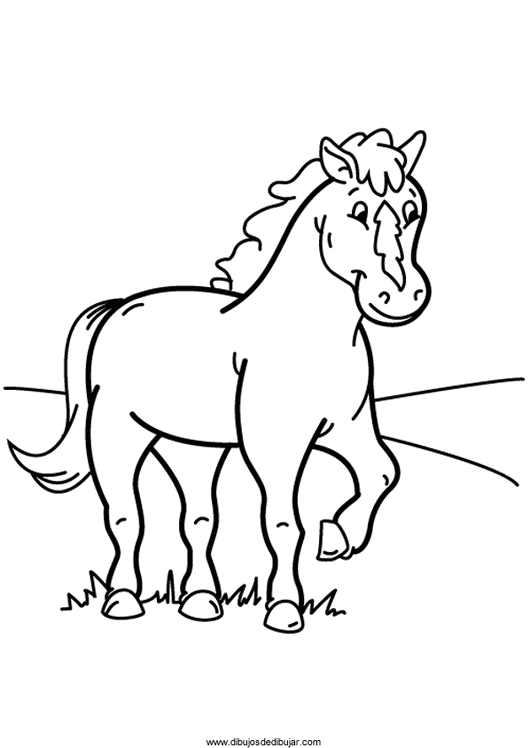 Розмальовки Коні домашні тварини, кінь, для дітей