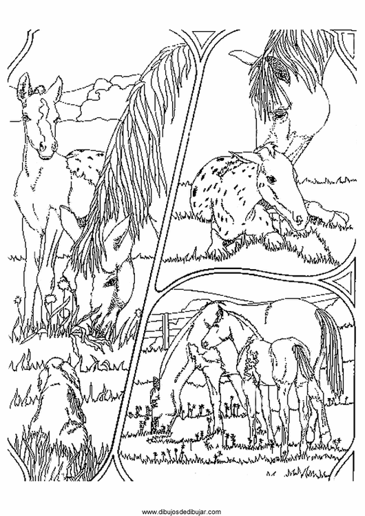 Розмальовки Коні розфарбування кінь, для дітей, домашні тварини