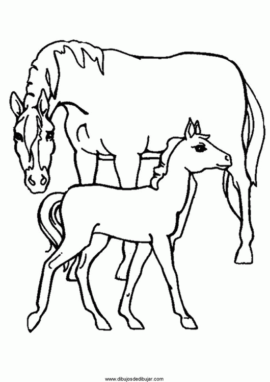 Розмальовки Коні розфарбування коня з лошам, розмальовки для дітей